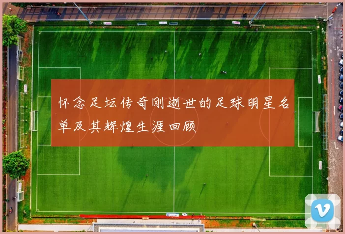 怀念足坛传奇刚逝世的足球明星名单及其辉煌生涯回顾