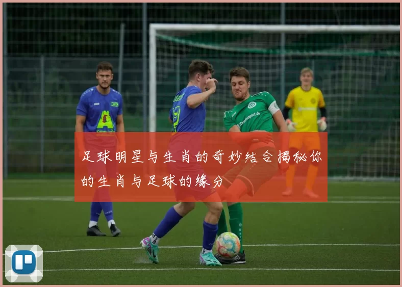 足球明星与生肖的奇妙结合揭秘你的生肖与足球的缘分