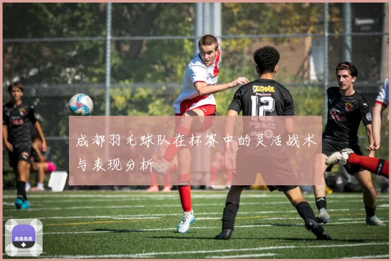 成都羽毛球队在杯赛中的灵活战术与表现分析