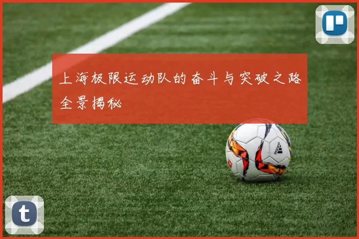 上海极限运动队的奋斗与突破之路全景揭秘
