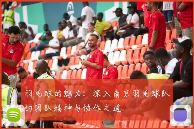 羽毛球的魅力：深入南京羽毛球队的团队精神与协作之道