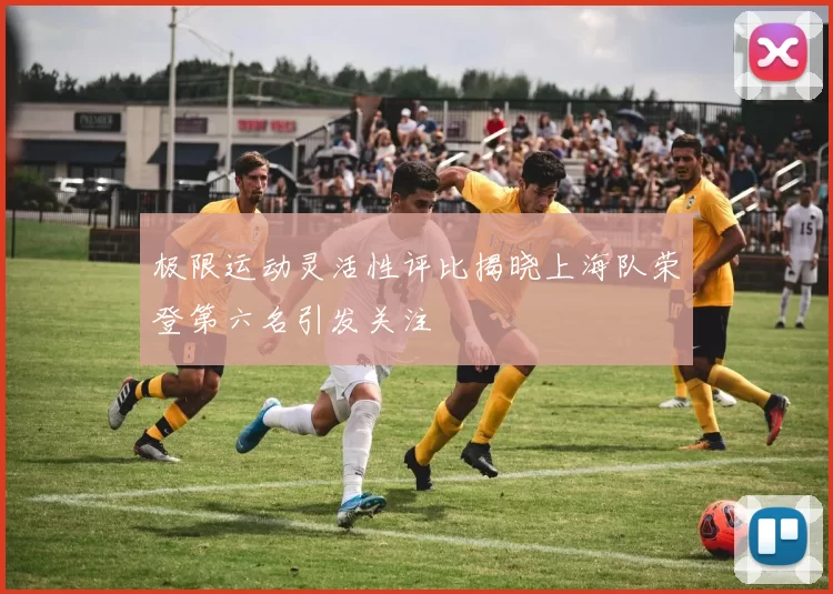 极限运动灵活性评比揭晓上海队荣登第六名引发关注
