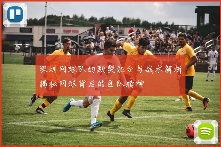 深圳网球队的默契配合与战术解析揭秘网球背后的团队精神