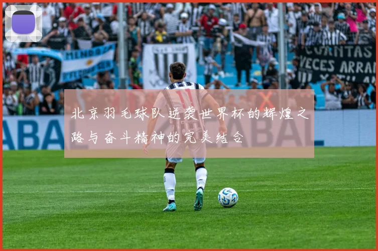 北京羽毛球队逆袭世界杯的辉煌之路与奋斗精神的完美结合