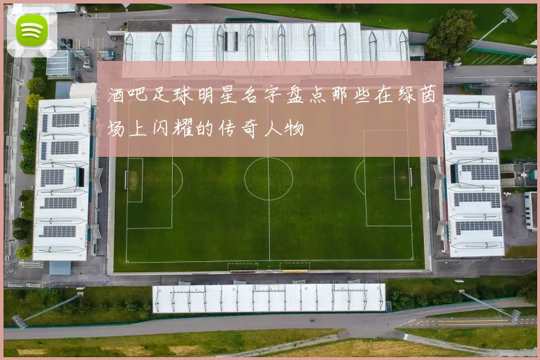 酒吧足球明星名字盘点那些在绿茵场上闪耀的传奇人物