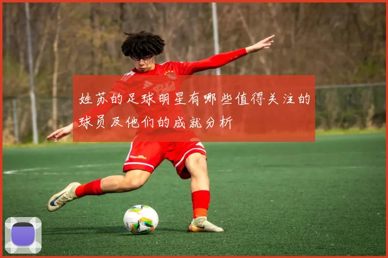 姓苏的足球明星有哪些值得关注的球员及他们的成就分析