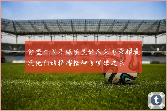 仰望中国足球明星的风采与荣耀展现他们的拼搏精神与梦想追求