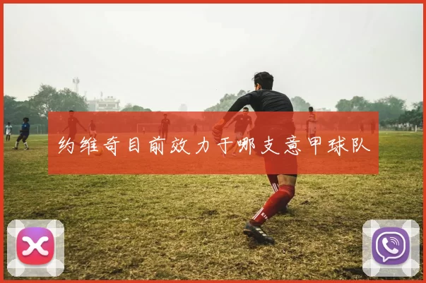 约维奇目前效力于哪支意甲球队