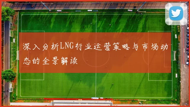 深入分析LNG行业运营策略与市场动态的全景解读