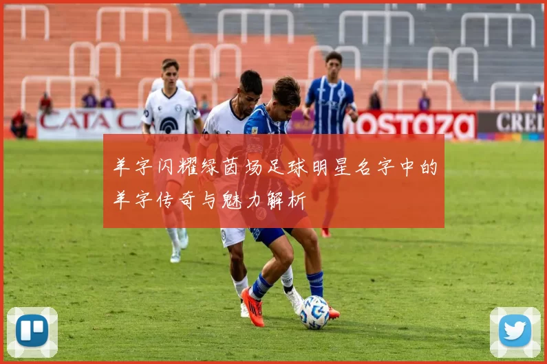 羊字闪耀绿茵场足球明星名字中的羊字传奇与魅力解析