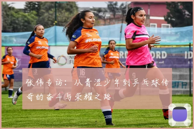 张伟专访：从青涩少年到乒乓球传奇的奋斗与荣耀之路