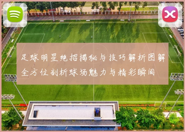 足球明星绝招揭秘与技巧解析图解全方位剖析球场魅力与精彩瞬间